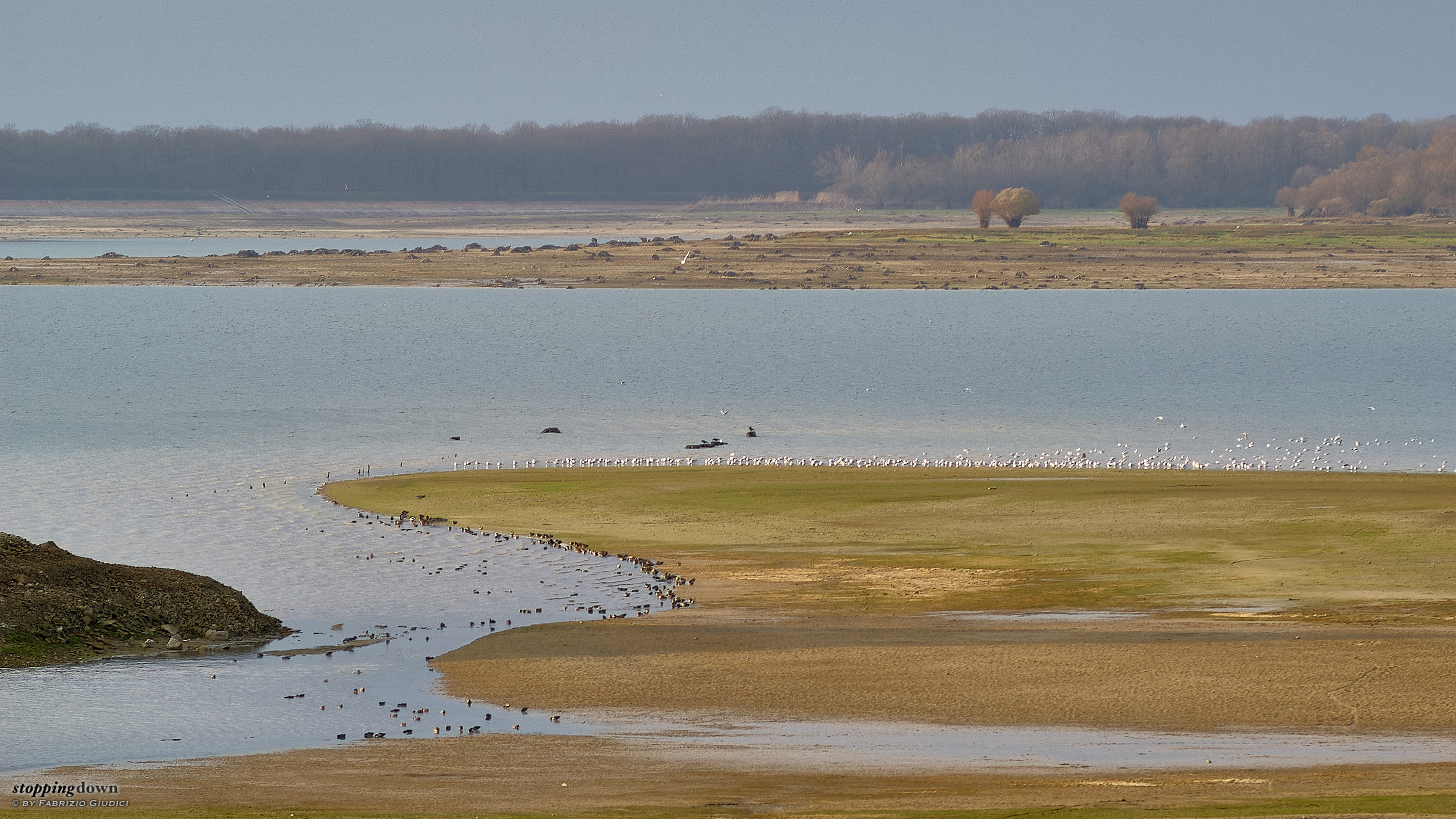 Stopping Down Le Lac De La For t D Orient Stopping Down Le Lac De La For t D Orient